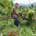 Landslides disrupt power supply in Tirap