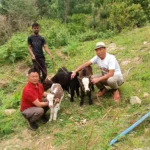 Man adopts yak calves to boost sustainable livelihood