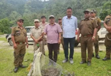 Rescued python released into wild