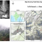Researchers document camera-trap image of musk deer from YRS Wildlife Sanctuary