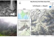 Researchers document camera-trap image of musk deer from YRS Wildlife Sanctuary